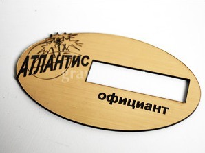 Бейджи из пластика со сменным полем